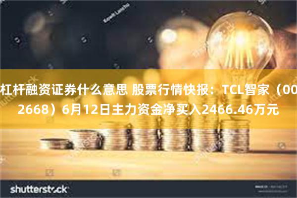 杠杆融资证券什么意思 股票行情快报：TCL智家（002668）6月12日主力资金净买入2466.46万元