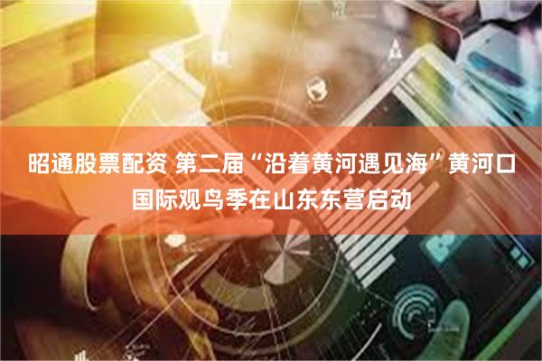 昭通股票配资 第二届“沿着黄河遇见海”黄河口国际观鸟季在山东东营启动