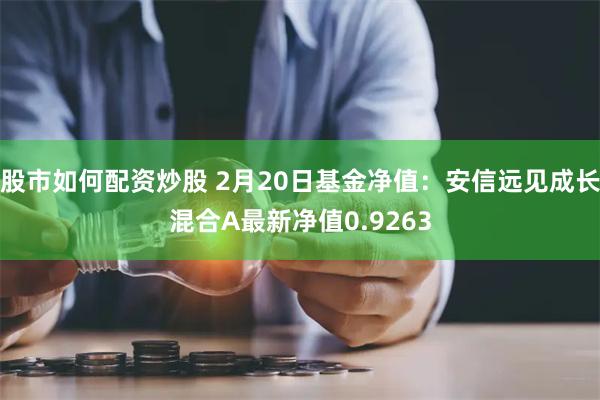 股市如何配资炒股 2月20日基金净值：安信远见成长混合A最新净值0.9263