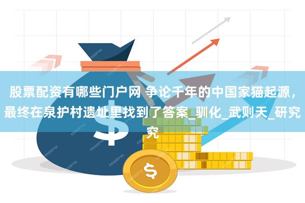 股票配资有哪些门户网 争论千年的中国家猫起源，最终在泉护村遗址里找到了答案_驯化_武则天_研究