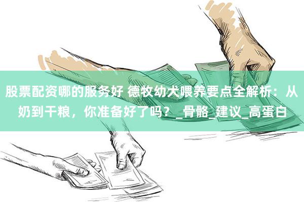 股票配资哪的服务好 德牧幼犬喂养要点全解析：从奶到干粮，你准备好了吗？_骨骼_建议_高蛋白