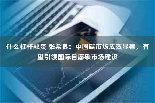 什么杠杆融资 张希良：中国碳市场成效显著，有望引领国际自愿碳市场建设