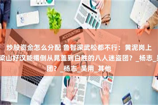 炒股资金怎么分配 鲁智深武松都不行：黄泥岗上，哪几位梁山好汉能撂倒从晁盖到白胜的八人迷盗团？_杨志_吴用_其他