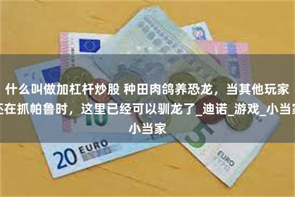 什么叫做加杠杆炒股 种田肉鸽养恐龙，当其他玩家还在抓帕鲁时，这里已经可以驯龙了_迪诺_游戏_小当家