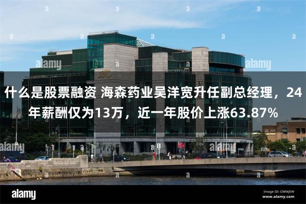 什么是股票融资 海森药业吴洋宽升任副总经理，24年薪酬仅为13万，近一年股价上涨63.87%